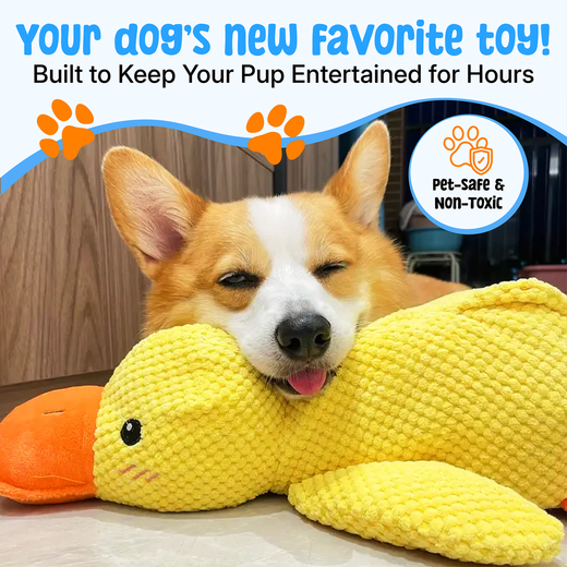 QuackGuard squeaker duck dog toy close-up detail