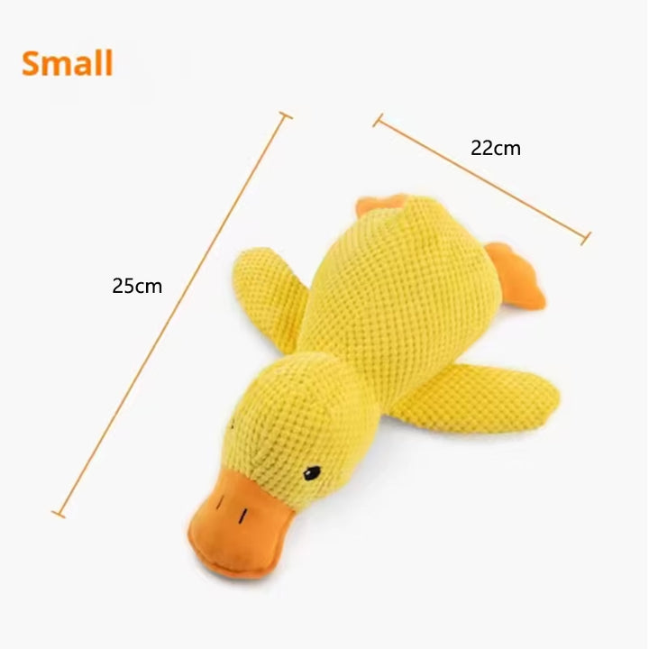 QuackGuard duck dog chew toy front view