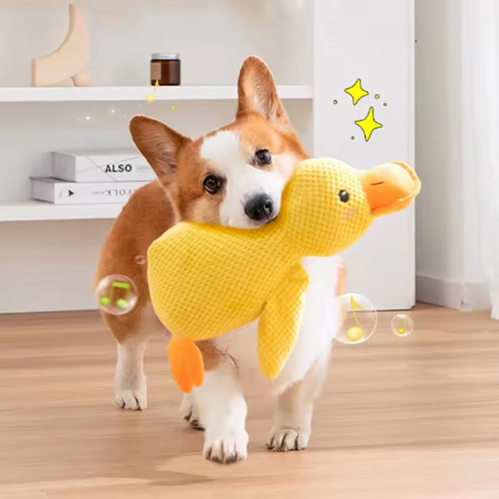QuackGuard duck toy large size