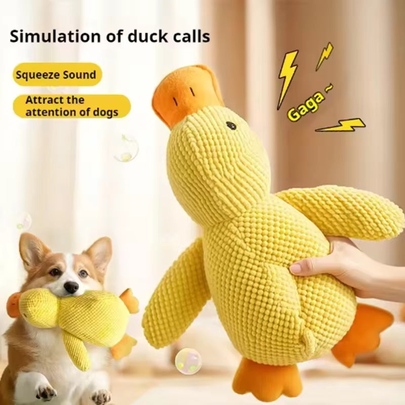 Dog tugging QuackGuard duck toy