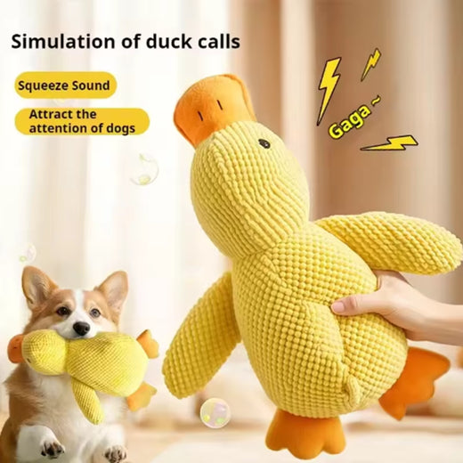 Dog tugging QuackGuard duck toy