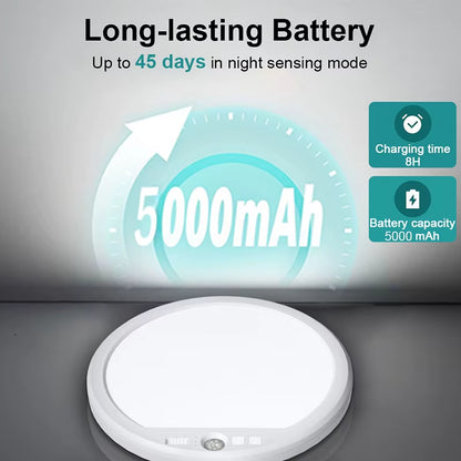 Rechargeable Motion Sensor LED Ceiling Light1