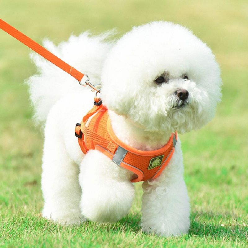 Reflective no pull dog harness and leash set
