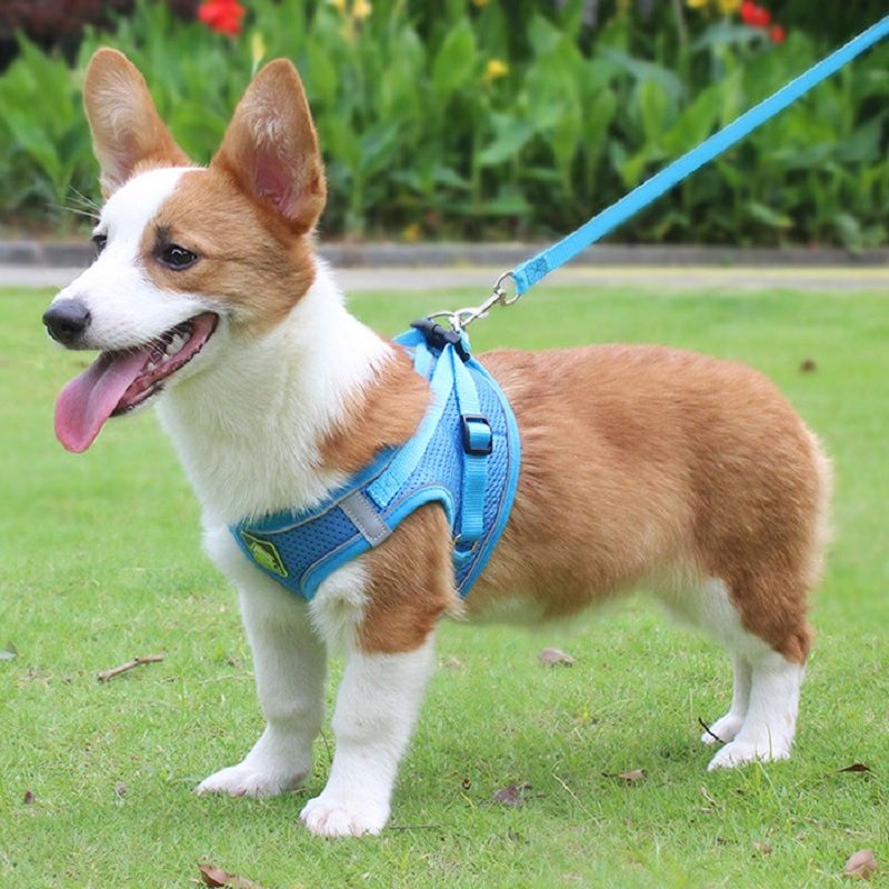 Reflective dog harness side view