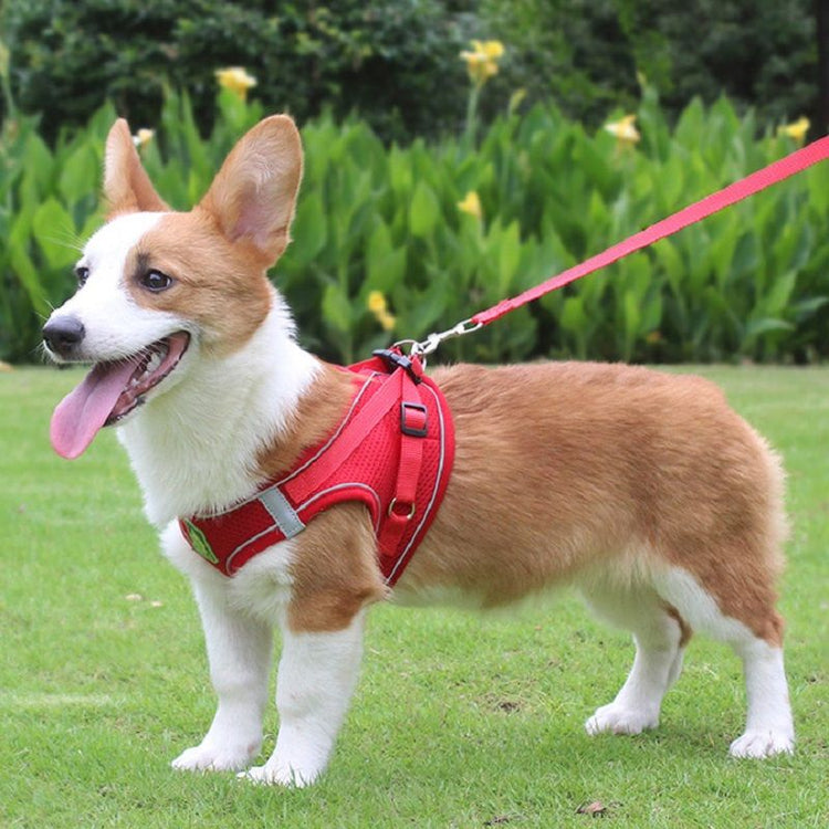 Dog harness leash set in pink