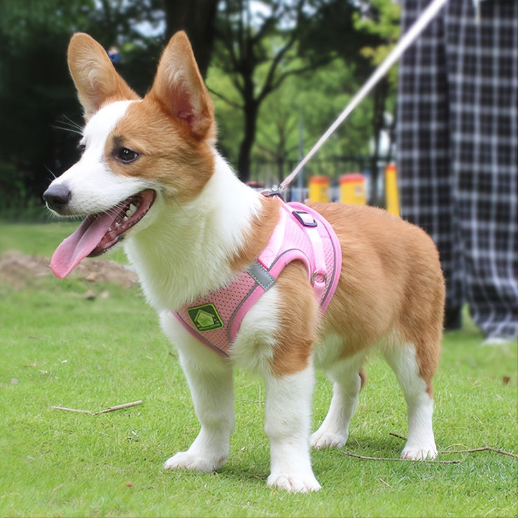 Reflective dog harness rear view