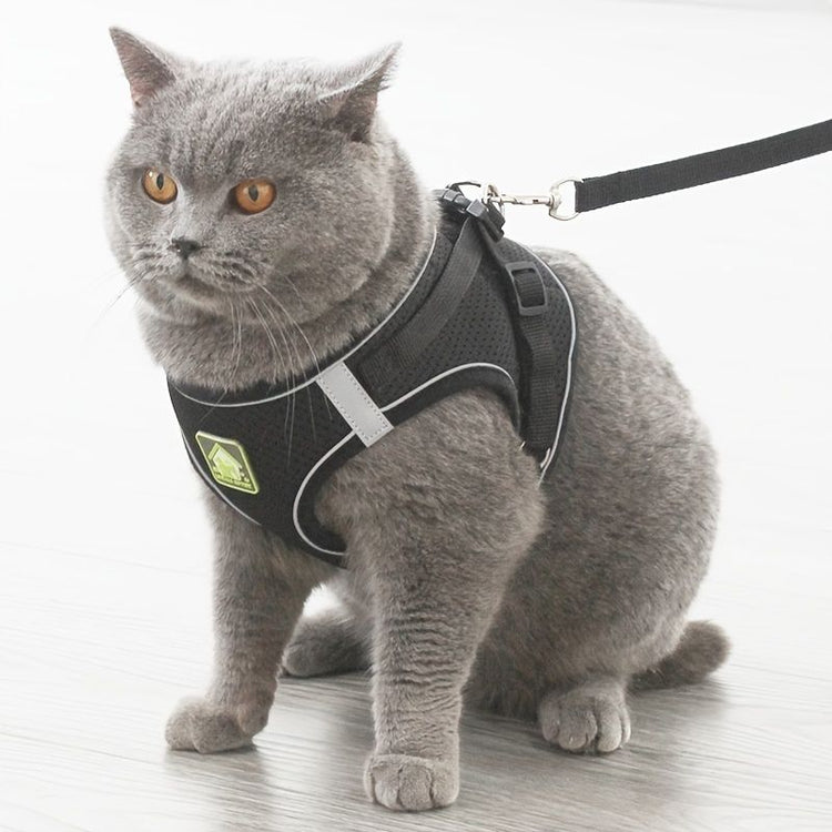 Dog harness color options chart