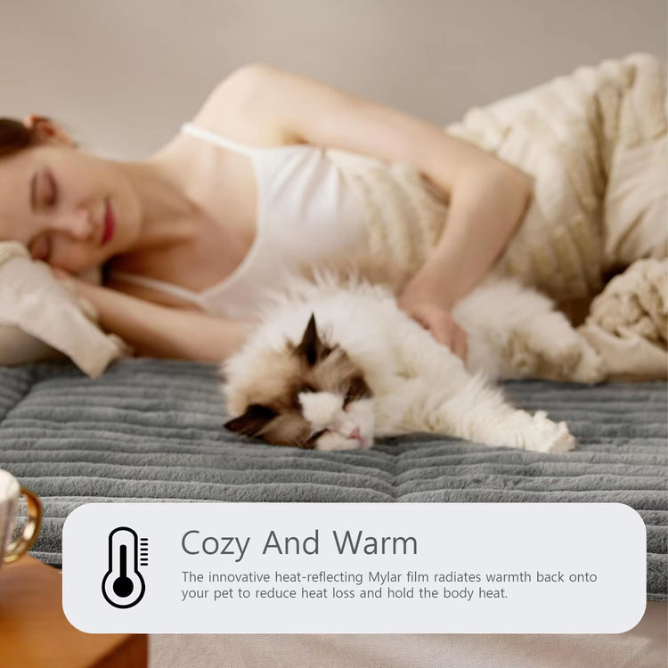 Cat resting on self warming mat next to window
