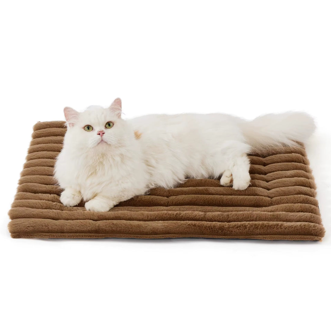 Pet warming mat shown in size comparison view