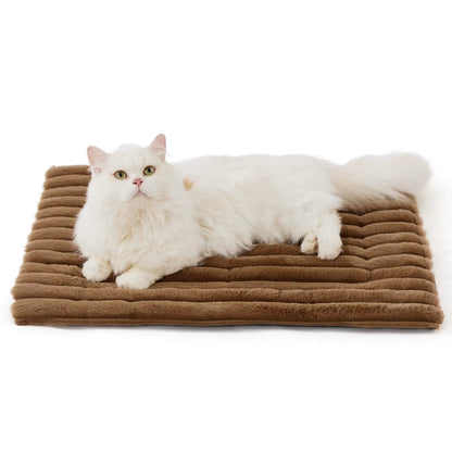 Pet warming mat shown in size comparison view