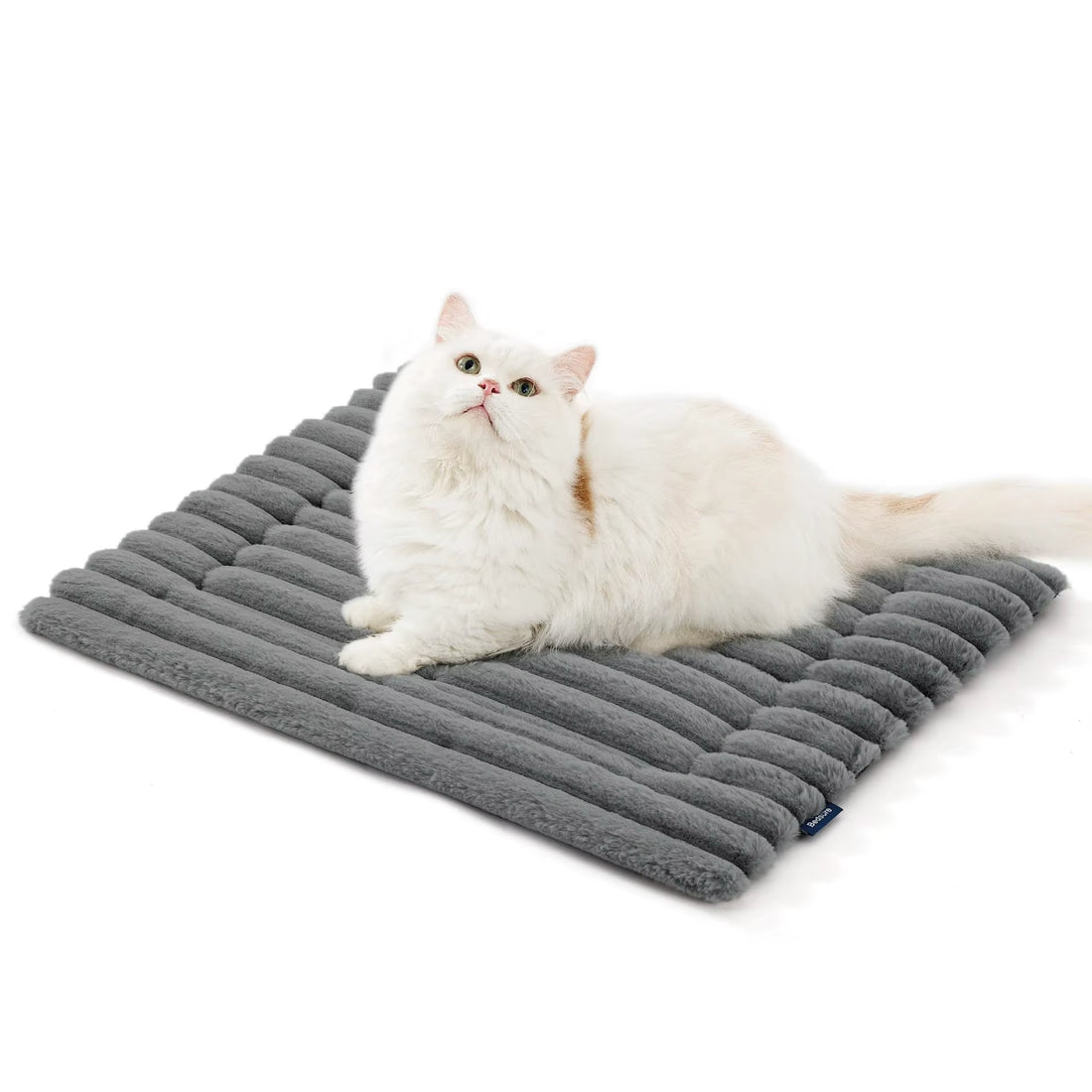 Small dog napping on self warming mat indoors