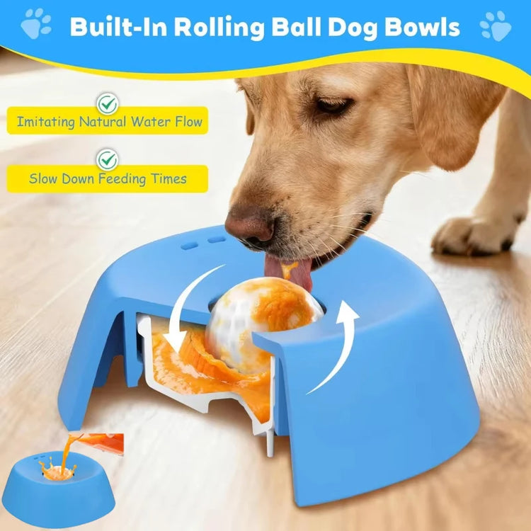 Dog eating from SlowSip slow feeder dog bowl