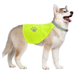 Small dog wearing a hi-vis reflective safety vest