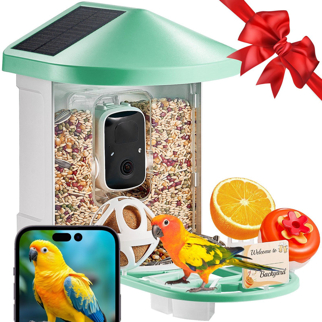 Mint green solar-roofed smart bird feeder with built-in camera and open seed compartments