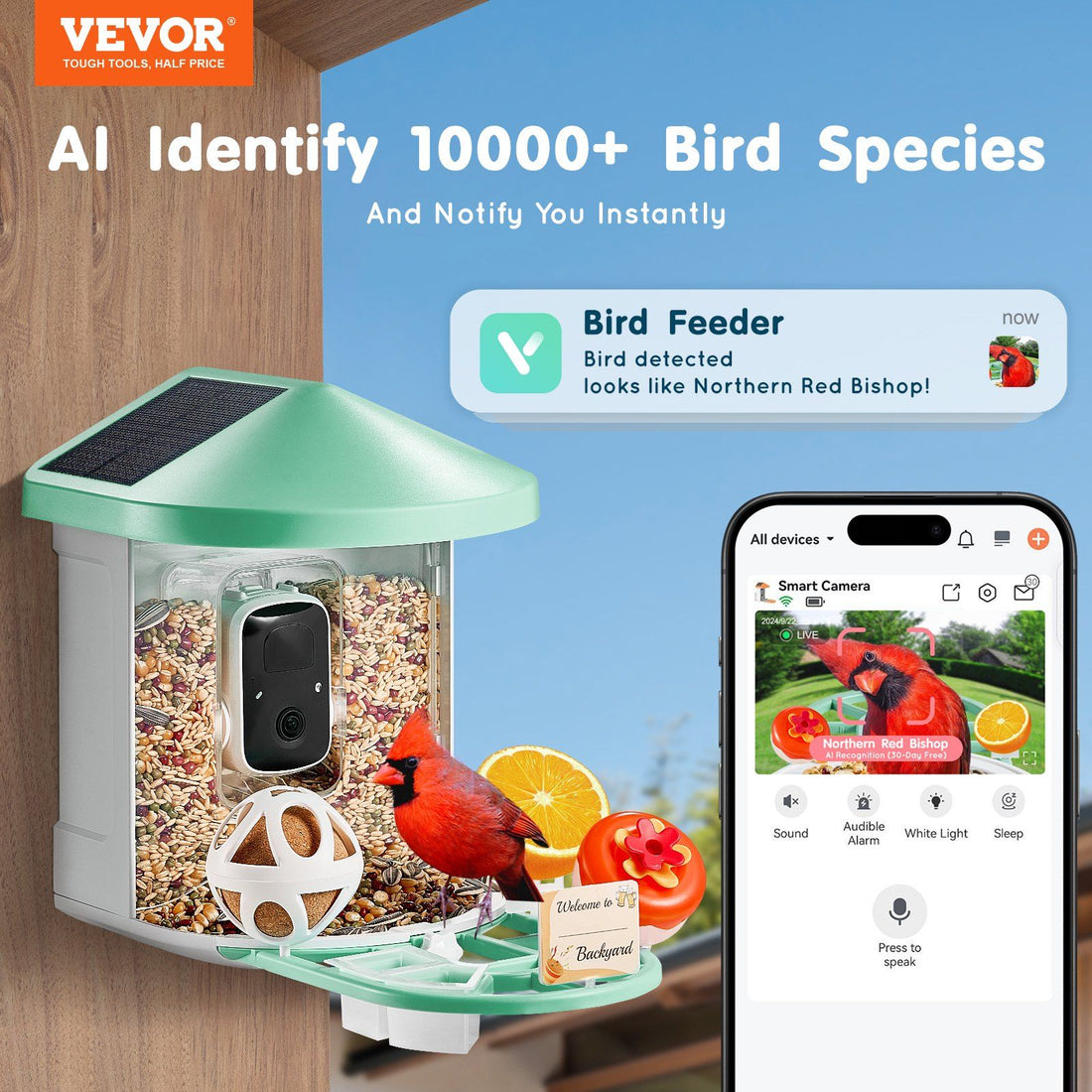 Smart Bird Feeder Camera1
