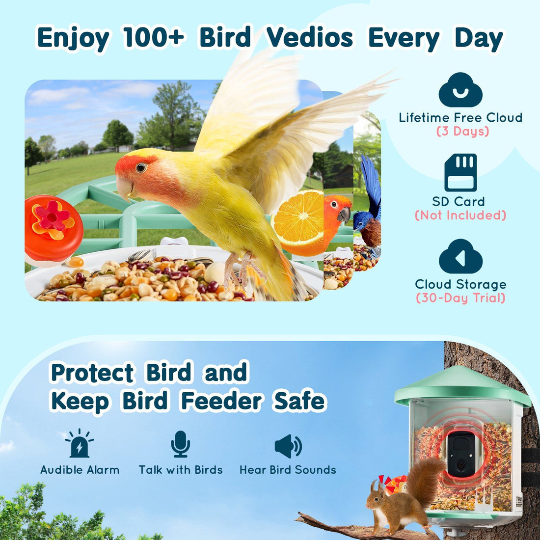 Smart Bird Feeder Camera2