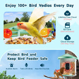 Smart Bird Feeder Camera2