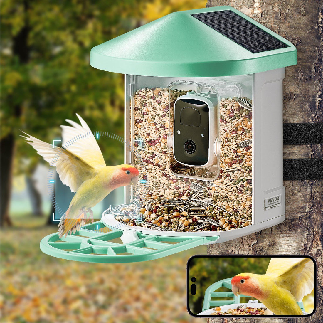 Smart Bird Feeder Camera7
