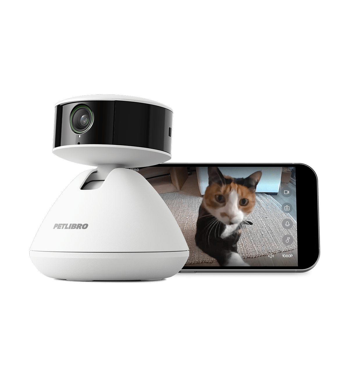 Smart pet camera live video feed view