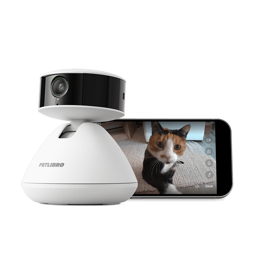 Smart pet camera live video feed view