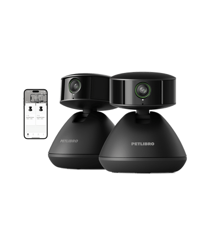 Pet camera monitor mobile app interface