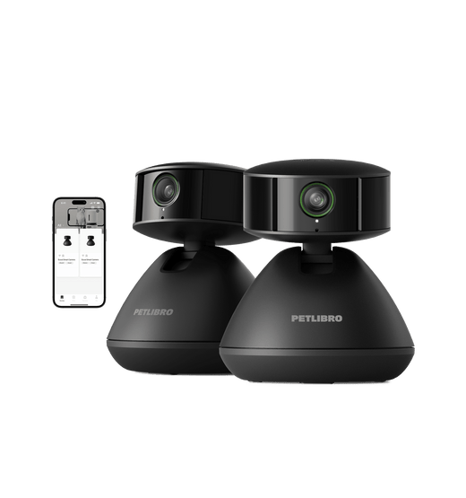 Pet camera monitor mobile app interface