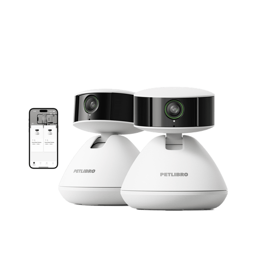 Smart pet camera in living room watching dog