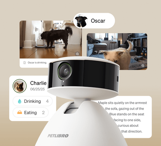 Smart pet camera in white color variant
