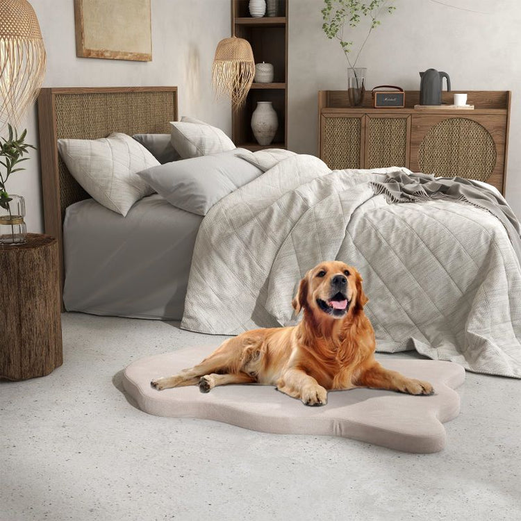 Soft Memory Foam Pet Bed