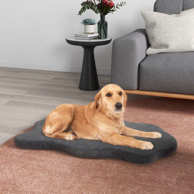 Soft Memory Foam Pet Bed1