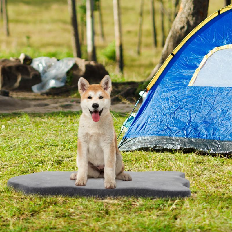 Soft Memory Foam Pet 2