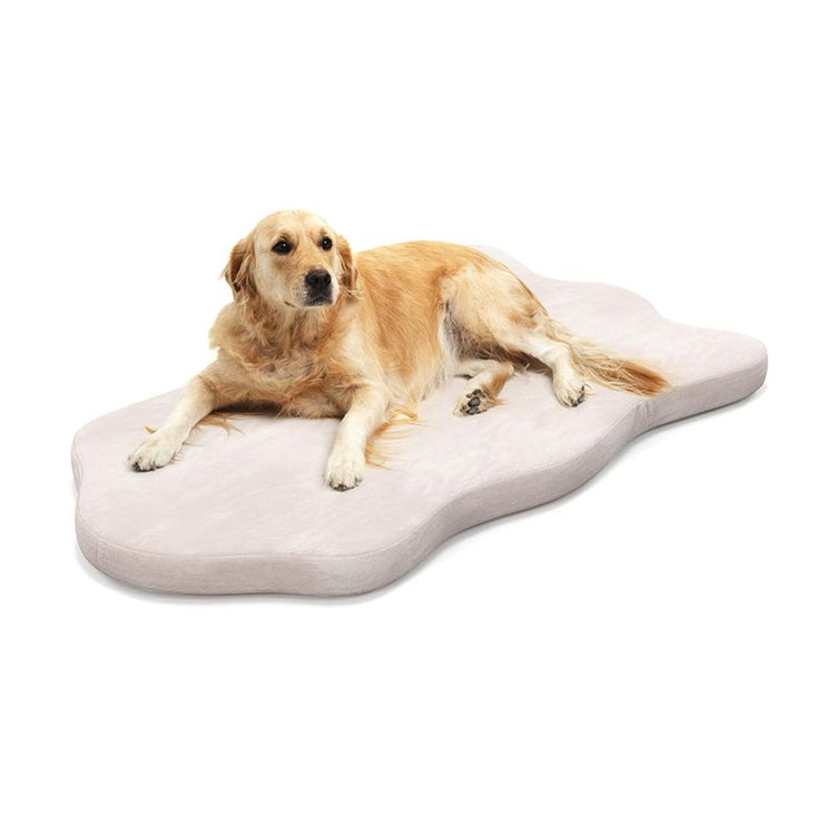 Soft Memory Foam Pet Bed4