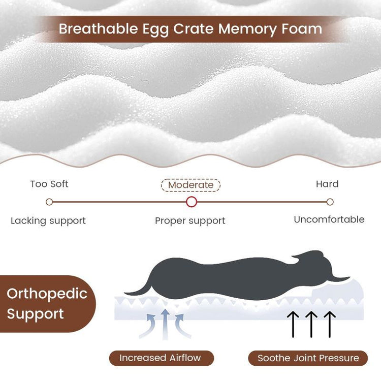 Soft Memory Foam Pet Bed5
