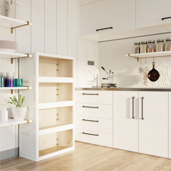 Transparent storage cabinet bin with front-opening door detail