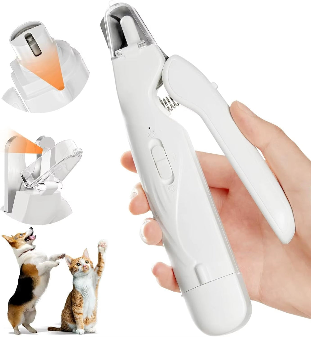 Pet nail grinder used safely on a small dog paw