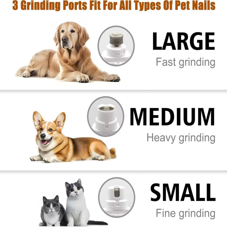 Pet nail grinder used on a cat claw with LED light