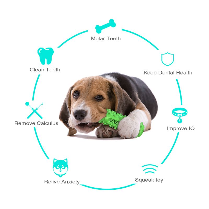 Dog toothbrush chew toy size scale view