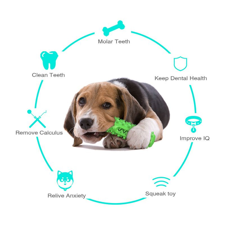 Dog toothbrush chew toy size scale view