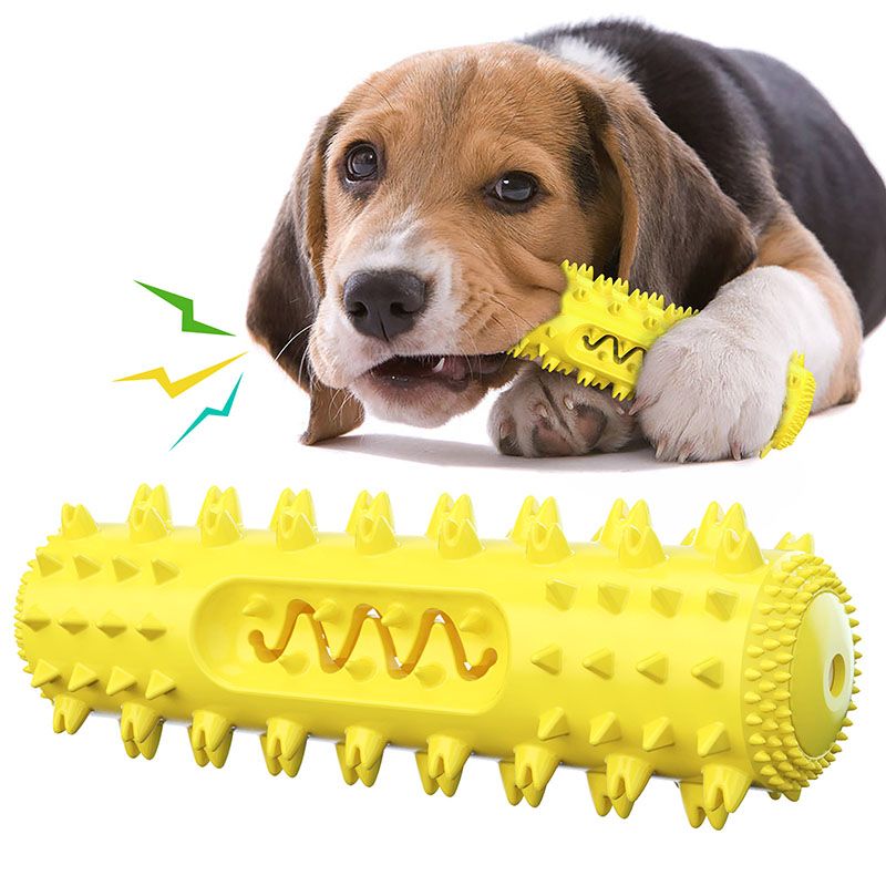 Dental molar stick toy for small to large dog breeds