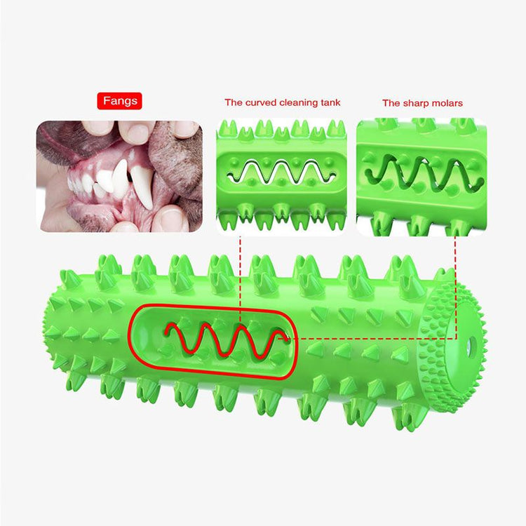 Molar stick chew toy in green color