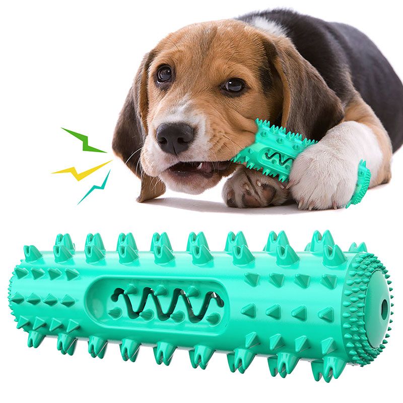 Dog dental chew toy sized for puppies and adult dogs