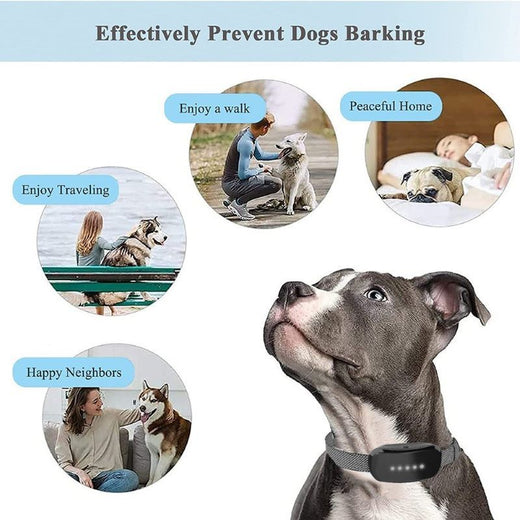 Bark collar control unit with mode buttons