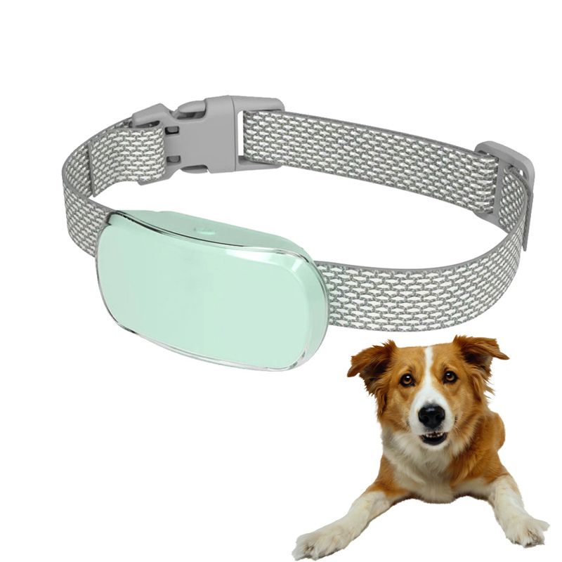 Bark collar sensor contact points detail