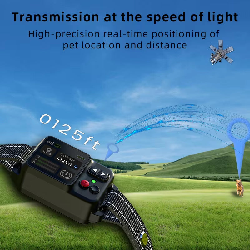 Wireless dog fence boundary illustration