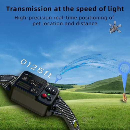 Wireless dog fence boundary illustration