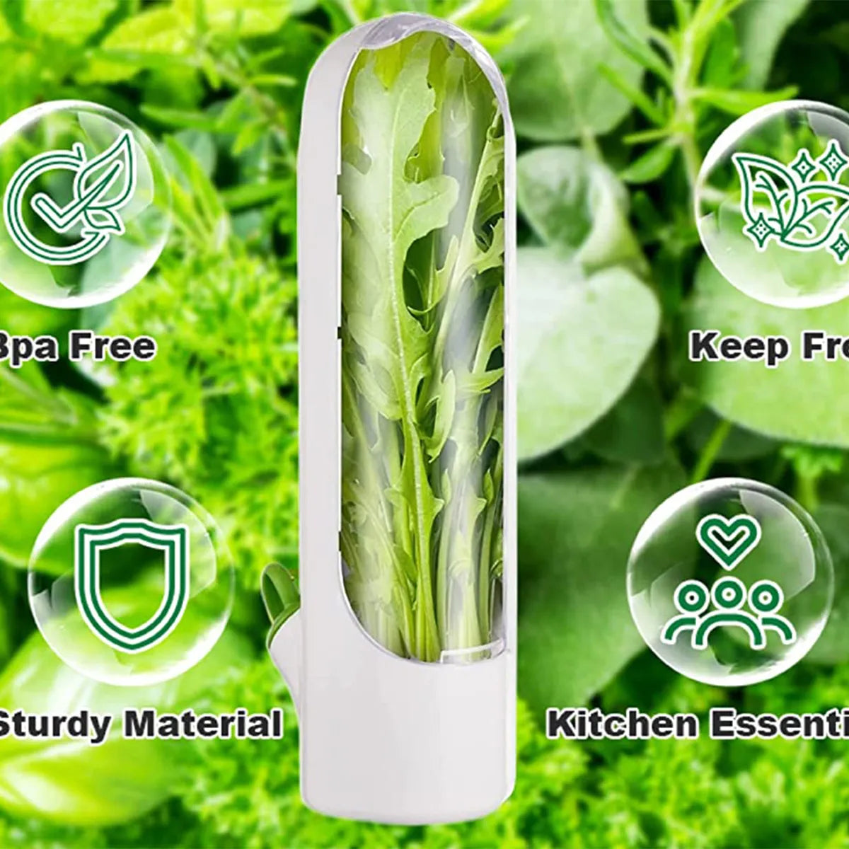 Herb saver container shown with fresh herbs standing in water