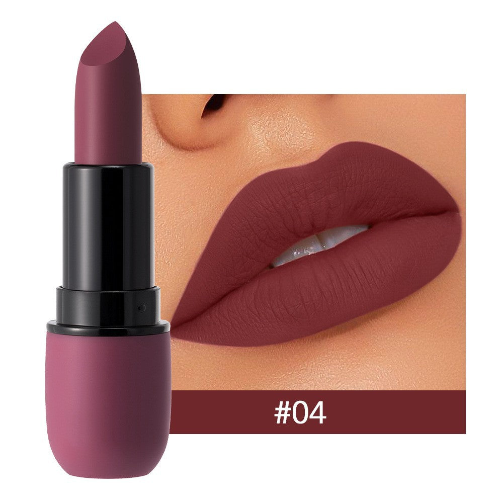 Long Lasting Waterproof Matte Lipstick Set