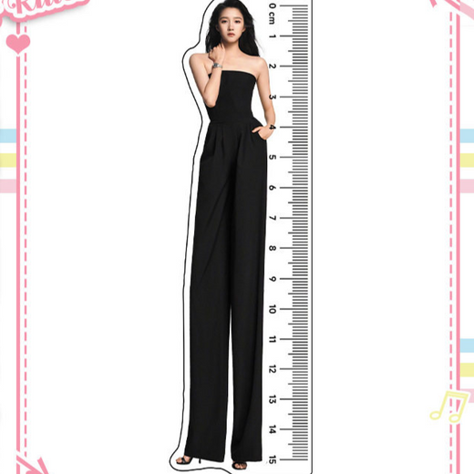 Celebrity Themed Acrylic Ruler