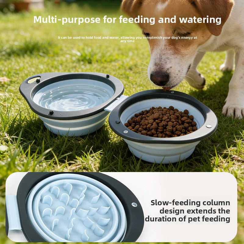 Pet Bowl
