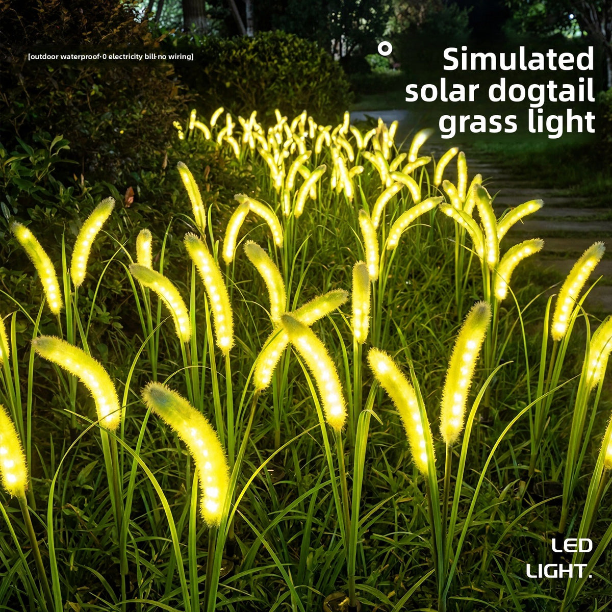 Solar Powered Outdoor Lawn Lights